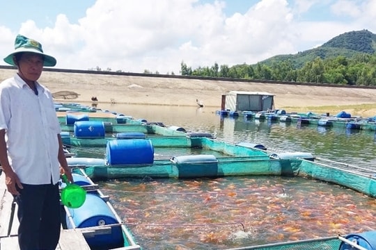 Gia Lai: Chuẩn hóa sản xuất nông nghiệp để phục vụ xuất khẩu