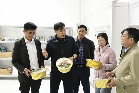 Tập huấn nâng cao hiệu quả hoạt động khuyến nông cơ sở ở chính quyền địa phương hai cấp