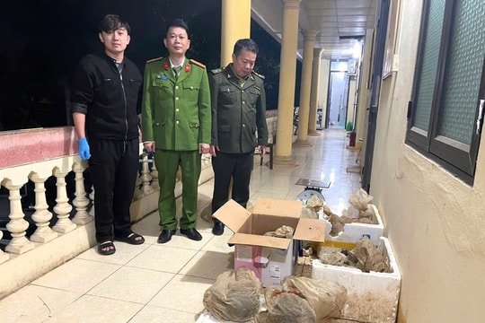 Phát hiện, cứu hộ thành công 12 cá thể tê tê Java đang bị đe dọa tuyệt chủng