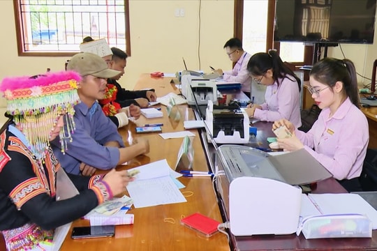 Ngân hàng CSXH tỉnh Tuyên Quang: Quyết tâm hoàn thành 100% chỉ tiêu tín dụng chính sách trước 15/12