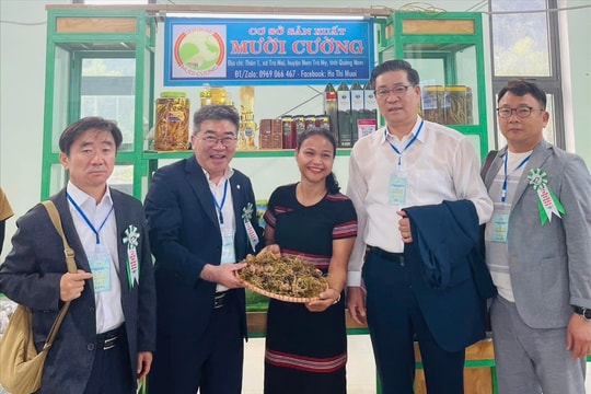 HTX của cô gái Ca Dong với kho dược liệu vùng cao