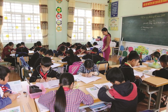 Sắp xếp hệ thống trường học để phục vụ người học tốt hơn