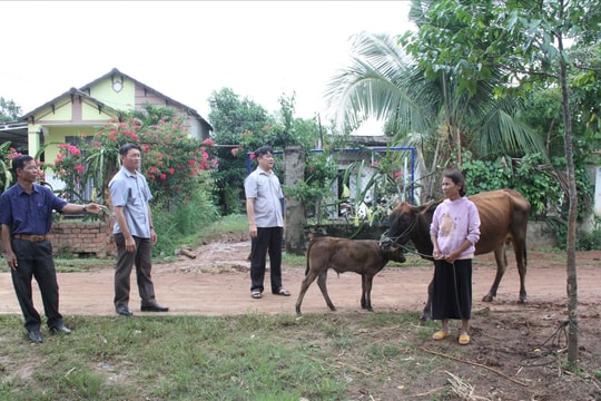Dự án 3 Chương trình MTQG 1719 ở Đắk Lắk: Nhiều mô hình sinh kế giúp đồng bào DTTS thoát nghèo