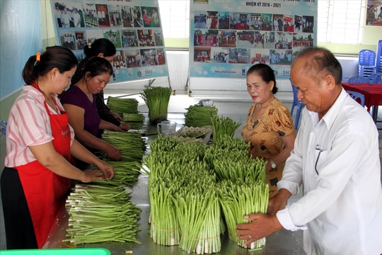 Tháo “nút thắt” để HTX vùng DTTS bứt phá