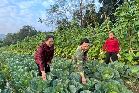 Tuyên Quang: Người có uy tín góp phần đổi thay thôn nghèo