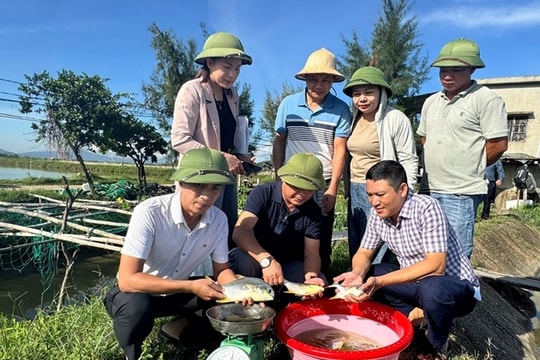 Hà Tĩnh nâng cao chất lượng công tác khuyến nông theo tư duy kinh tế nông nghiệp
