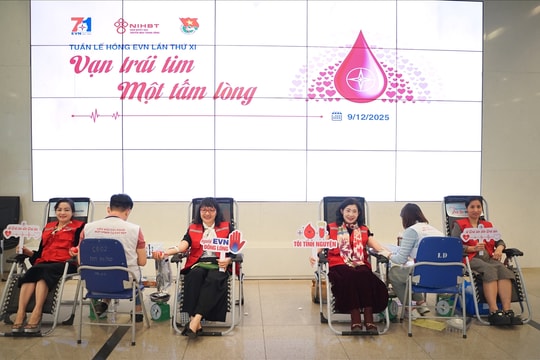 Tập đoàn Điện lực Việt Nam: Tổ chức chương trình hiến máu tình nguyện