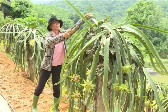 Xã Yên Nguyên (Tuyên Quang): Người có uy tín lực lượng "đặc biệt" đưa chính sách dân tộc vào cuộc sống