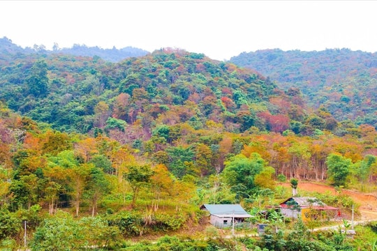 Khai thác du lịch mùa Đông ở miền Tây xứ Nghệ: Tiềm năng là chưa đủ