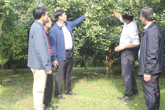 Thực hiện chính sách với Người có uy tín ở Cao Bằng: Khích lệ kịp thời đi liền chất lượng triển khai (Bài cuối)