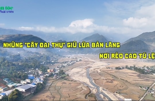 Những "cây đại thụ" giữ lửa bản làng nơi rẻo cao Tú Lệ