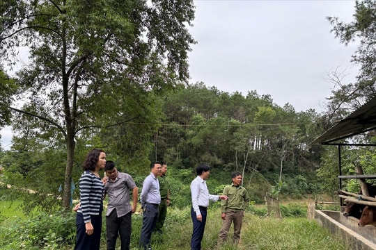 Chương trình MTQG Giảm nghèo bền vững ở Thụy Hùng (Lạng Sơn): Thêm điểm tựa phát triển nơi biên giới (Bài 1)