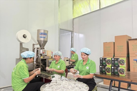Kinh tế tập thể, hợp tác xã: Nâng cao hiệu quả, đóng góp cho tăng trưởng bền vững