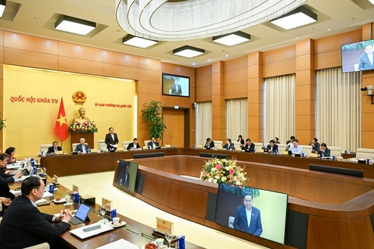 Kịp thời xem xét, quyết định nhiều vấn đề mới, chưa có tiền lệ