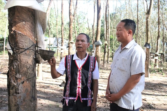 Biểu tượng cho sự đoàn kết, ý chí vươn lên ở Ngọk Tụ