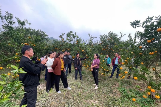 Bằng Mạc (Lạng Sơn): Triển khai nhiều dự án thuộc Chương trình MTQG phát triển kinh tế - xã hội vùng đồng bào DTTS và miền núi