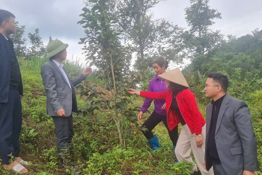 Chương trình MTQG Giảm nghèo bền vững ở Thụy Hùng (Lạng Sơn): Truyền thông - “chìa khóa” nâng cao hiệu quả giảm nghèo (Bài 2)