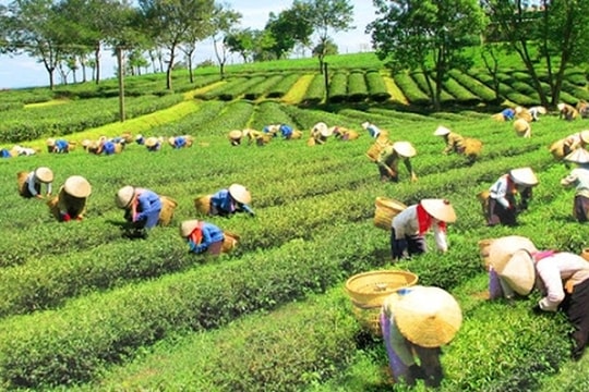 Thủ tướng chỉ đạo thực hiện các nhiệm vụ thúc đẩy tăng trưởng kinh tế
