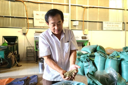 Thay đổi tư duy sản xuất nhờ “lớp học nghề” của HTX Công Bằng Ea Tu