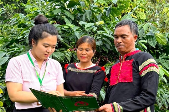 Tín dụng chính sách tạo đòn bẩy phát triển kinh tế cho người dân xã Krông Năng
