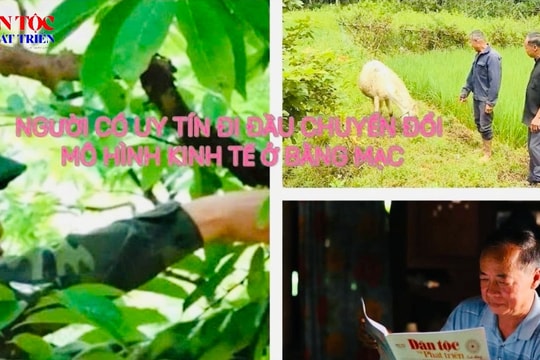 Người có uy tín đi đầu chuyển đổi mô hình kinh tế ở Bằng Mạc