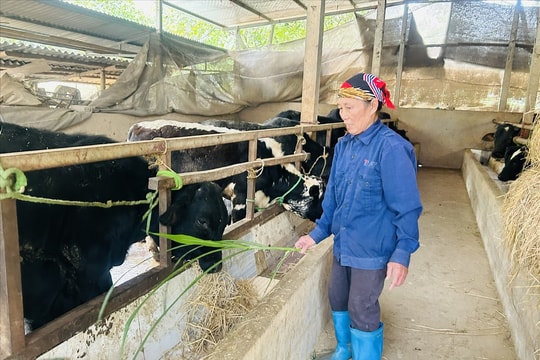 Yên Bình (Lạng Sơn): Đẩy mạnh chuyển đổi cây trồng, vật nuôi để giảm nghèo bền vững