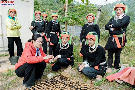 Giảm nghèo ở Việt Lâm (Tuyên Quang): Chọn đúng đối tượng để nguồn lực phát huy hiệu quả