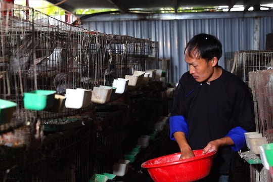 Cầu nối ý Đảng - lòng dân dưới chân Hoàng Liên