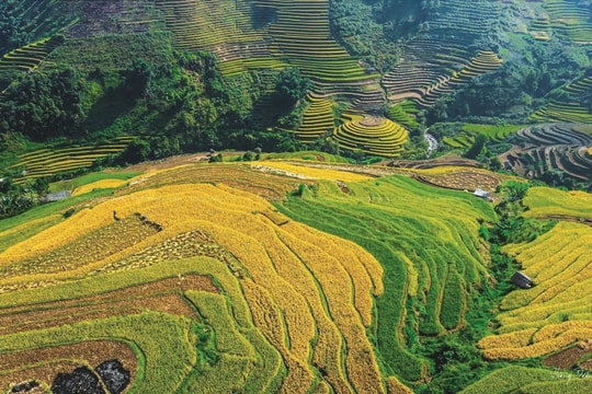 Tập trung ưu tiên đầu tư phát triển vùng đồng bào DTTS và miền núi