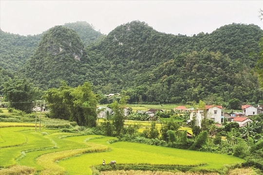 Cao Bằng:  Chăm lo đội ngũ “gánh kỳ vọng, giữ niềm tin” ở vùng DTTS