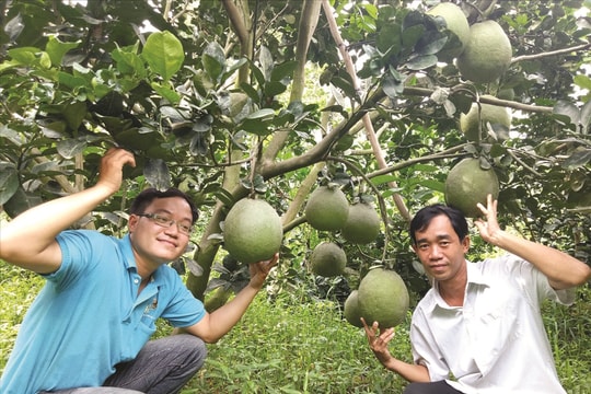 Bước chuyển mình của nông sản trong kỷ nguyên số