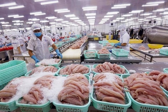Xuất khẩu thủy sản vượt mốc 11 tỷ USD năm 2025: Thắng lợi ngắn hạn, thách thức dài hơi cho năm 2026