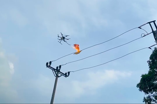 UAV, robot, AI và cuộc chuyển mình mạnh mẽ của ngành điện miền Bắc