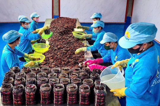 Đặc sản Cà Mau vươn ra biển lớn