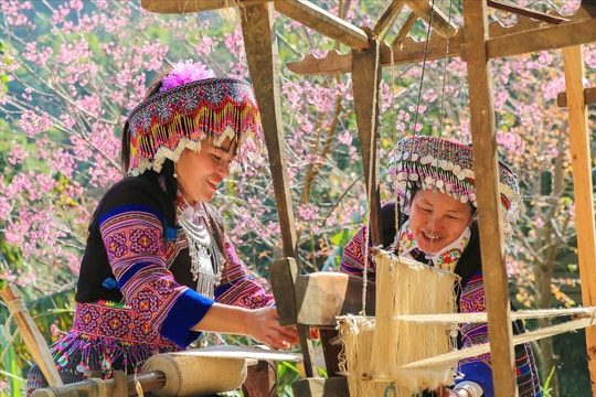 Sắc chàm trên miền di sản