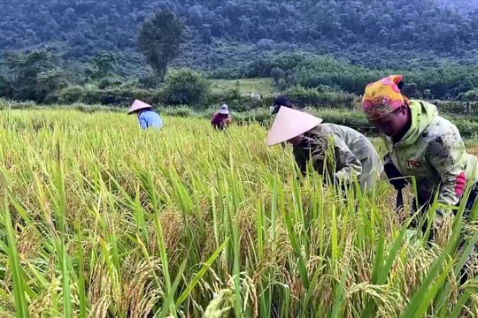 Đại hội XIV của Đảng: Đồng bào Rục với hành trình xây dựng cuộc sống mới