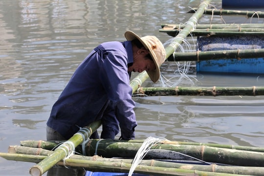 Ngư dân Đắk Lắk tất bật những chuyến đi biển mới