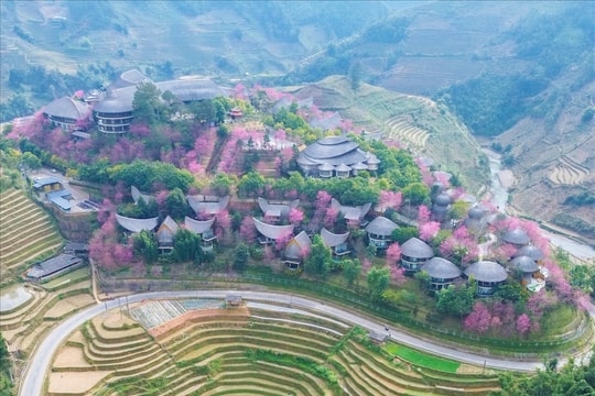 Tết này, nhà đã ấm