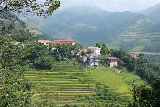 Trên 99% số thôn bản ở Lào Cai đã có điện lưới quốc gia