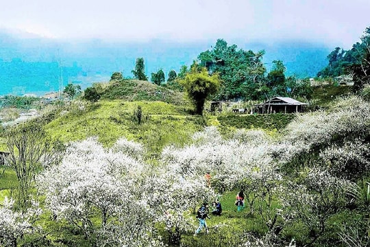 Mường Lống - nơi mùa Xuân đến sớm