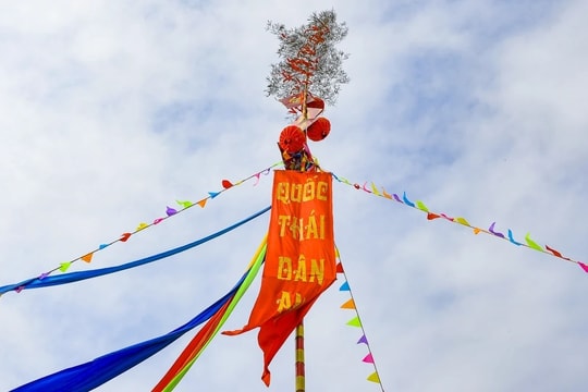Thành nhà Hồ dựng nêu đón Tết, lan tỏa hồn Xuân Tây Đô