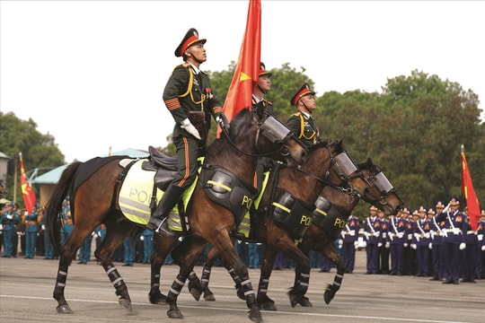 Vó ngựa thời gian