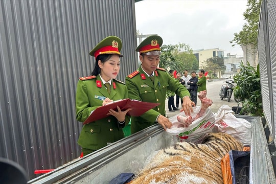 Khởi tố 2 đối tượng mua bán, tàng trữ hổ trái phép ở Thanh Hóa