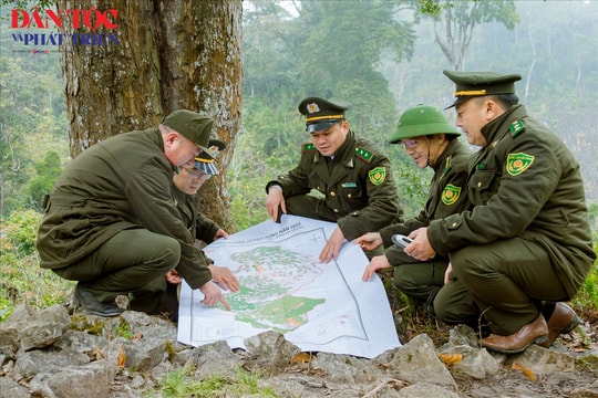Giữ bình yên rừng Chí Sán ngày Xuân