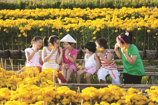 Đi tìm sắc Xuân ở đất trời phương Nam