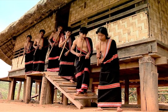 Đinh tút thì thầm gọi Xuân