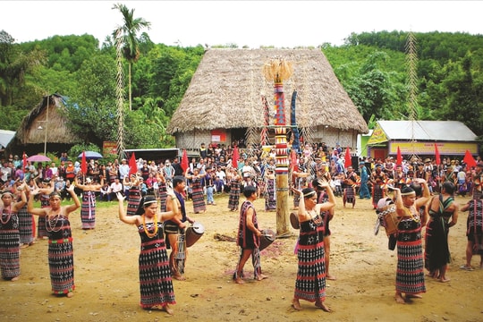 "Cội lim già" bên bờ Sông Kôn
