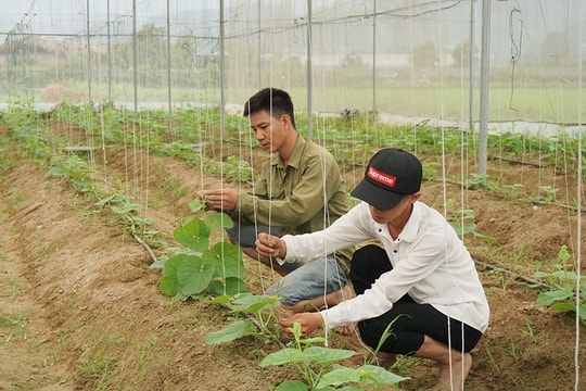 Nâng cao nhận thức về đào tạo nghề lao động nông thôn