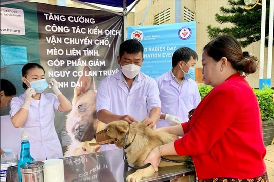Gia Lai tích cực phòng - chống bệnh dại