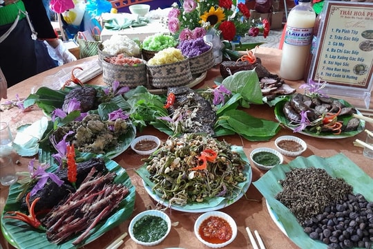 Rau đồ - Chinh phục thực khách bằng vị ngọt nguyên sơ của núi rừng